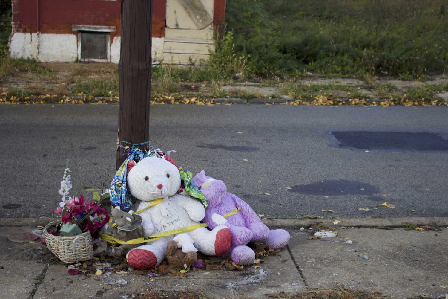 Hasinah Abdul-Rahman, Mantua, West Philadelphia, November 2015